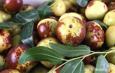 冬棗的營養價值,你知多少